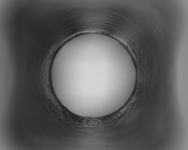 X0000088630337200705250903