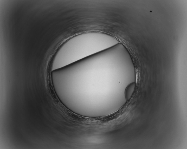 X0000088630339200705250903