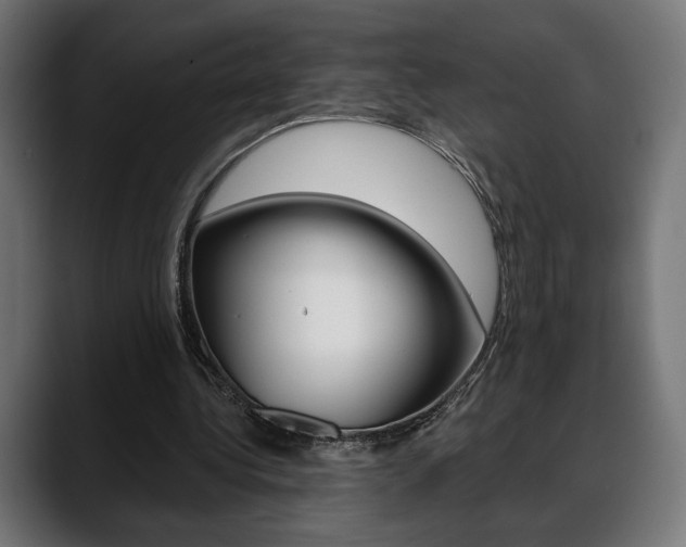 X0000088630340200705250903