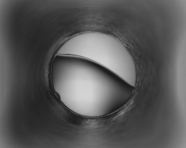 X0000088630341200705250903