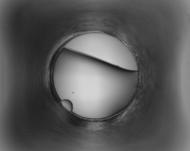 X0000088630342200705250903
