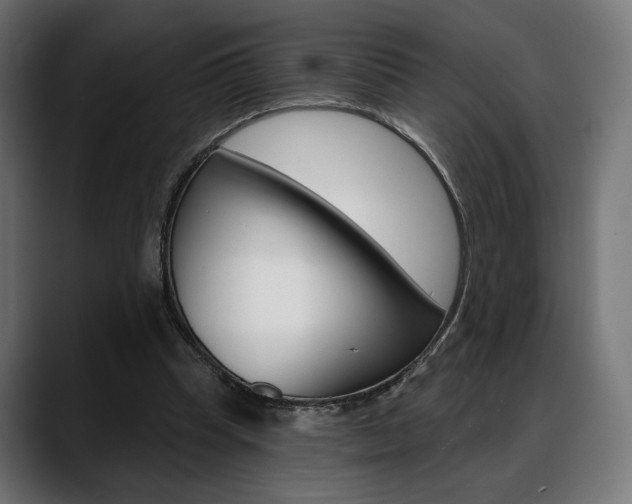 X0000088630345200705250903