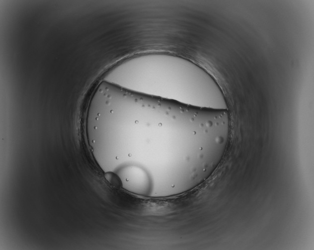 X0000088630346200705250903