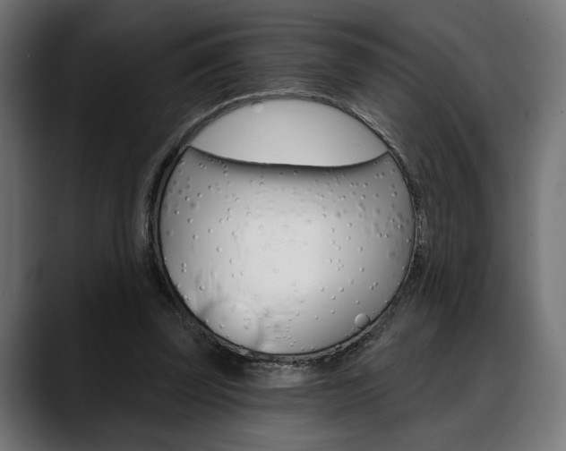 X0000088630347200705250903