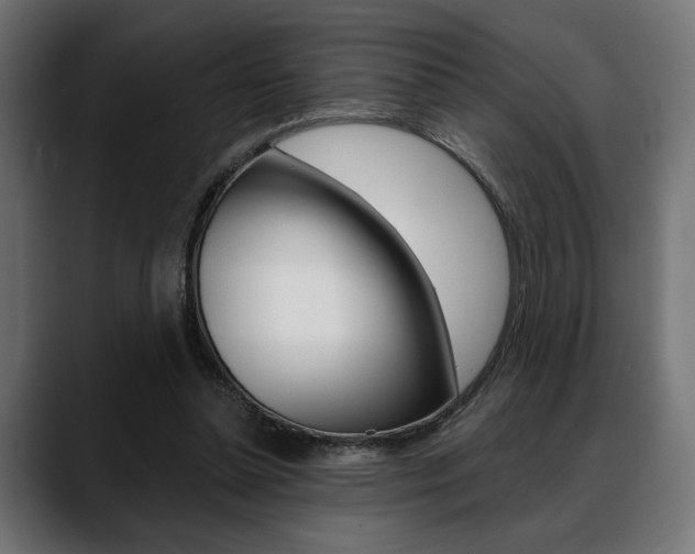 X0000088630348200705250903