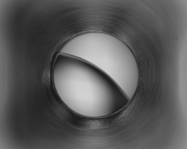 X0000088630349200705250903
