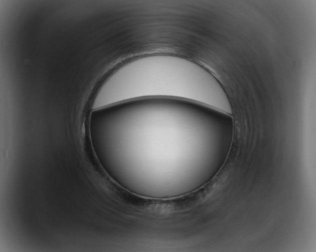 X0000088630350200705250903