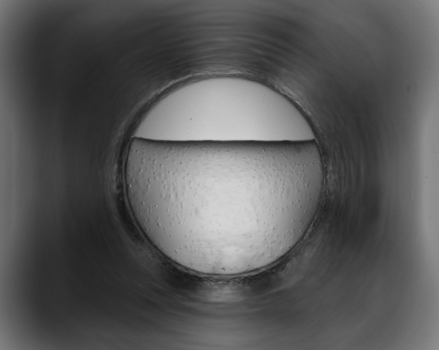 X0000088630351200705250903