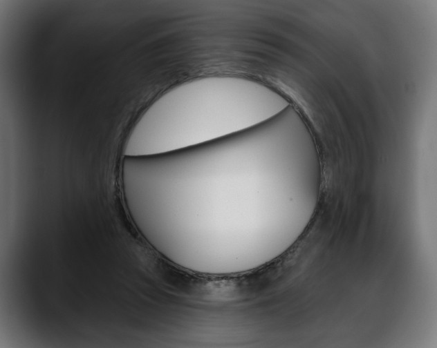 X0000088630353200705250903