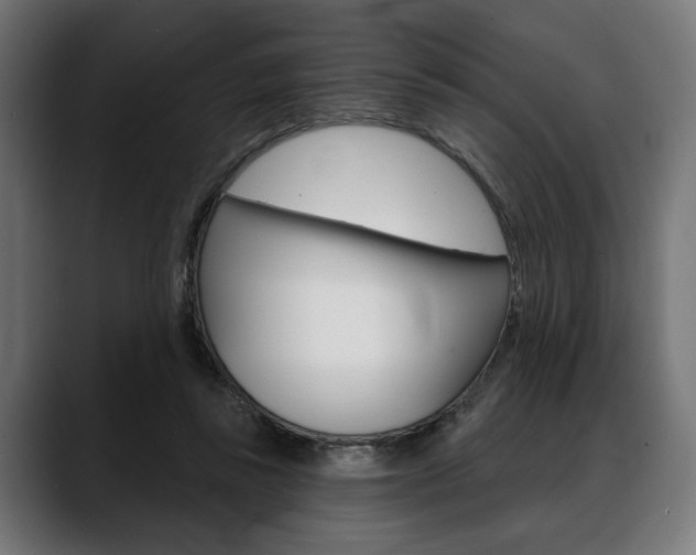 X0000088630355200705250903
