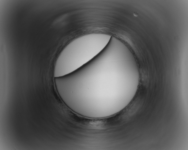 X0000088630357200705250903