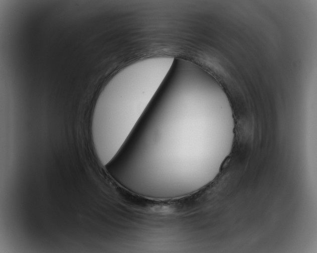 X0000088630358200705250903
