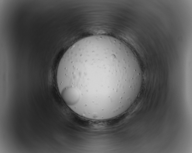X0000088630359200705250903