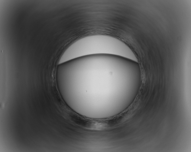 X0000088630360200705250903