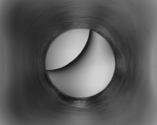 X0000088630362200705250903