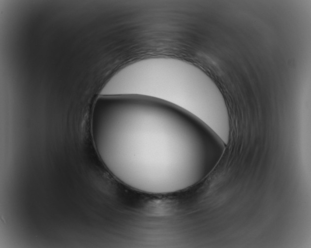 X0000088630364200705250903