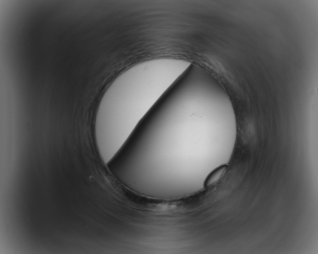 X0000088630366200705250903