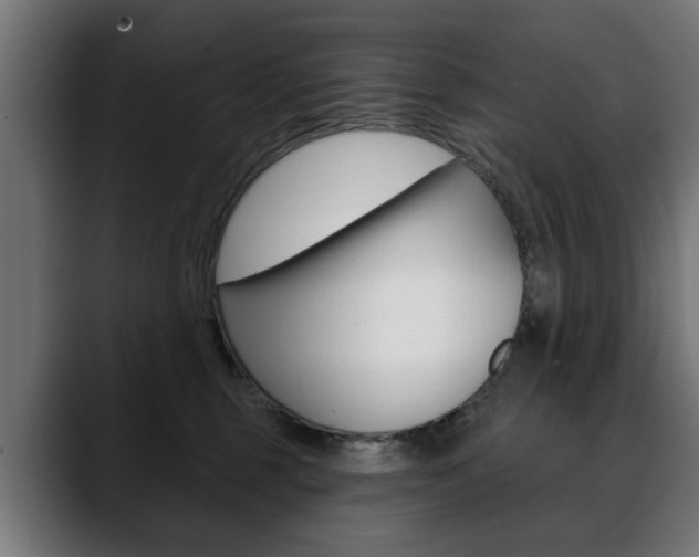 X0000088630375200705250903