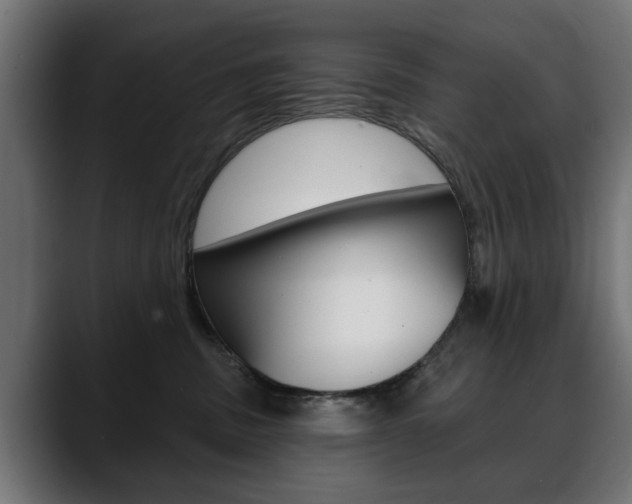 X0000088630379200705250903