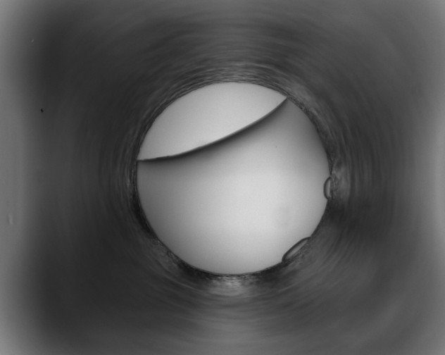 X0000088630381200705250903