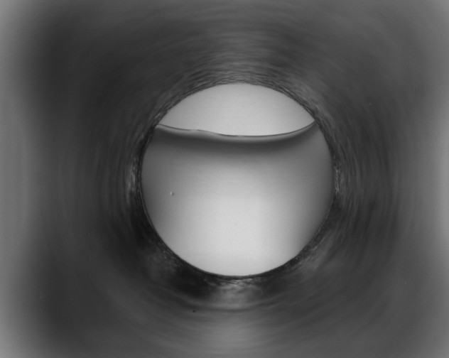 X0000088630382200705250903