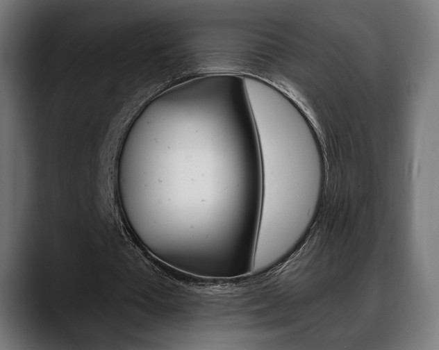 X0000088630385200705250903