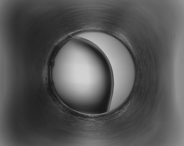 X0000088630388200705250902