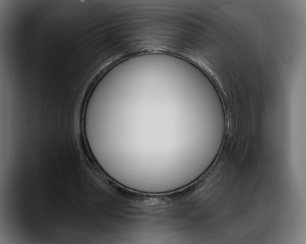 X0000088630390200705250902