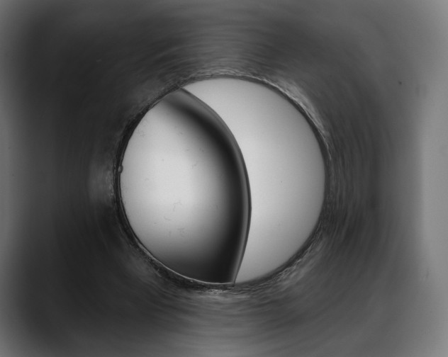 X0000088630393200705250902