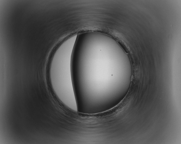 X0000088630395200705250902