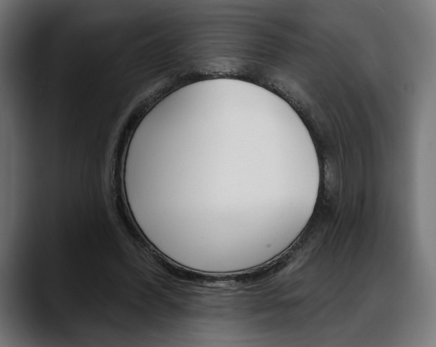 X0000088630396200705250902