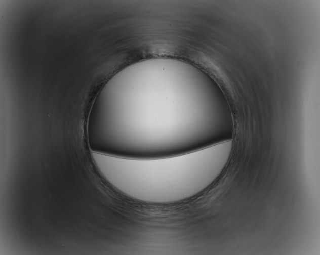 X0000088630401200705250902