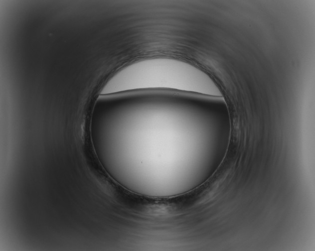 X0000088630404200705250902