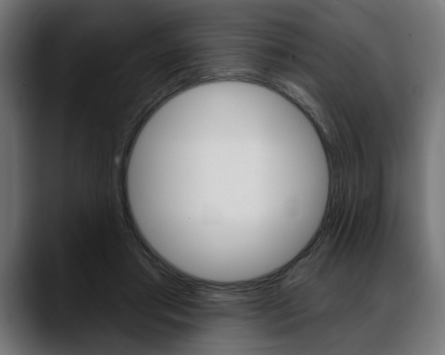 X0000088630405200705250902