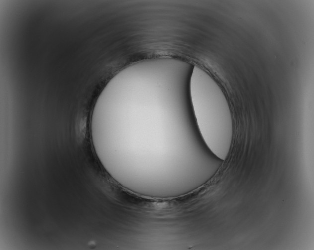X0000088630406200705250902