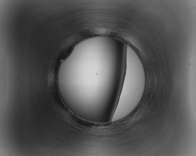 X0000088630407200705250902