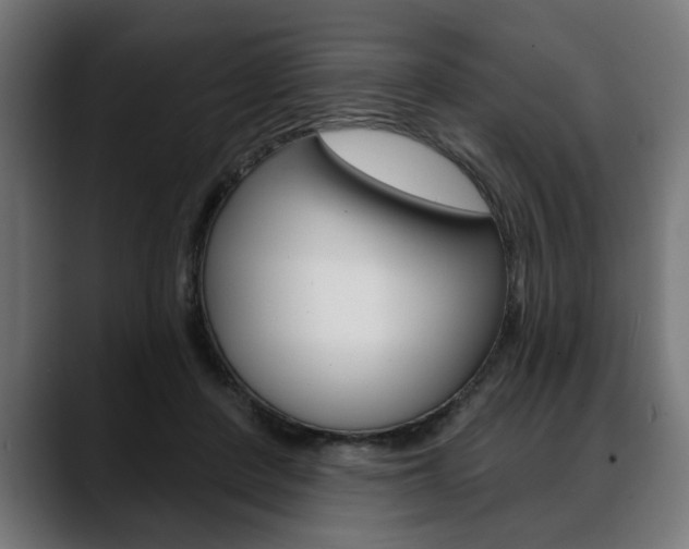 X0000088630408200705250902