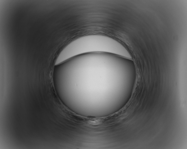X0000088630411200705250902