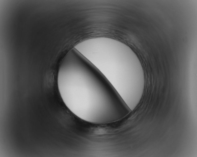 X0000088630412200705250902