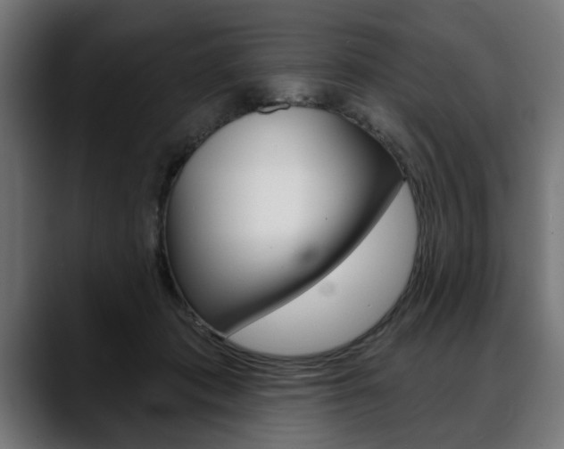 X0000088630413200705250902