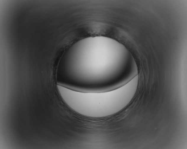X0000088630416200705250902