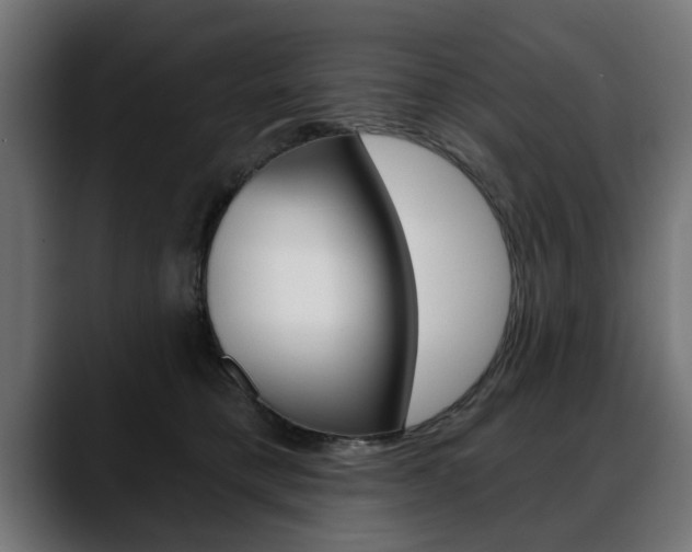 X0000088630421200705250902