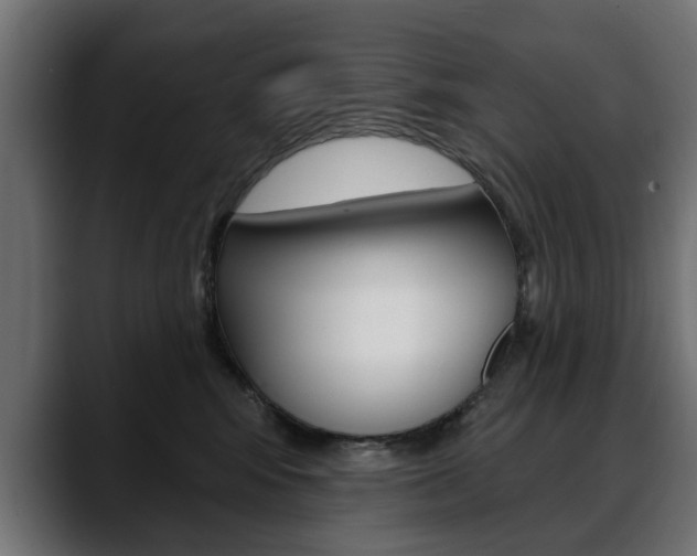 X0000088630424200705250902