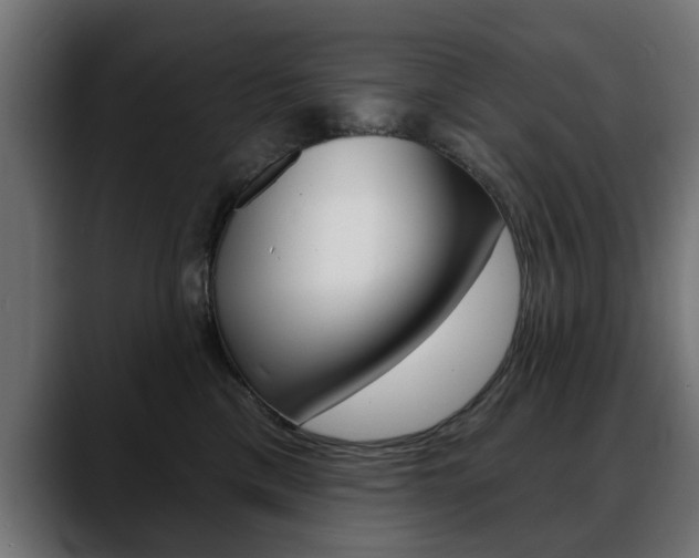 X0000088630425200705250902