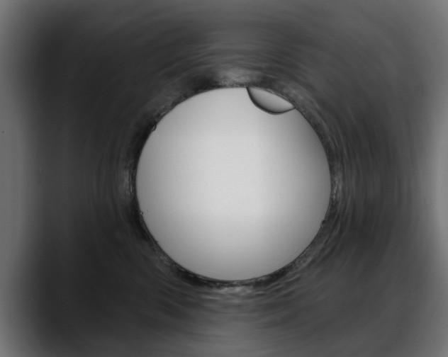 X0000088630426200705250902