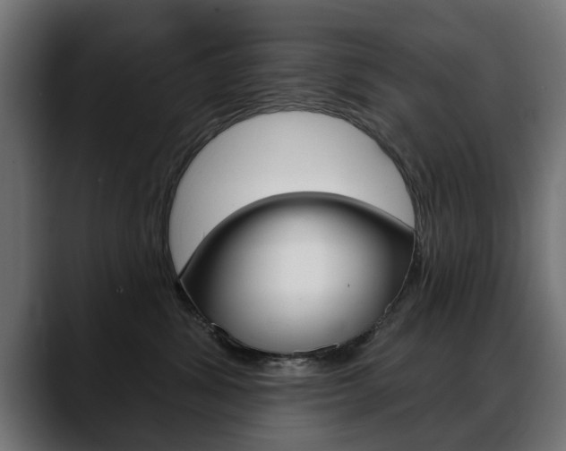 X0000088630428200705250902