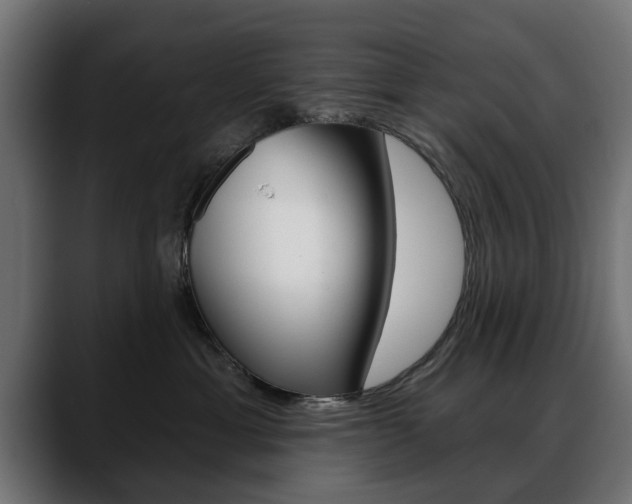 X0000088630429200705250902