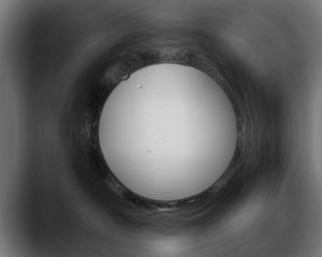 X0000088630430200705250902