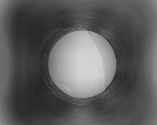 X0000088630431200705250902
