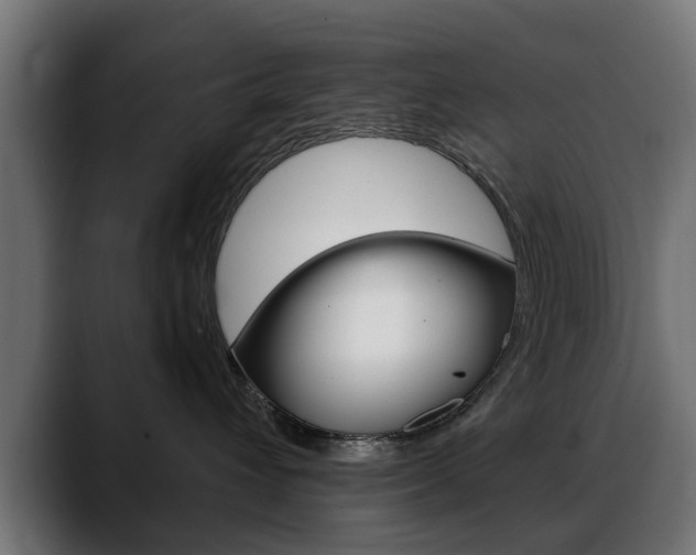 X0000088630432200705250902